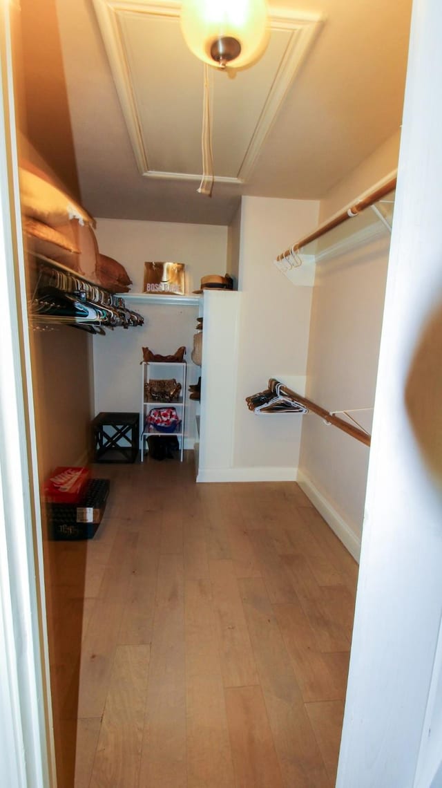 walk in closet featuring attic access and wood finished floors