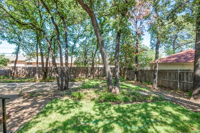 view of yard featuring a patio and a fenced backyard