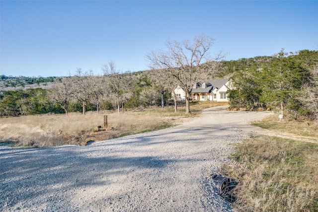 view of road with gravel driveway