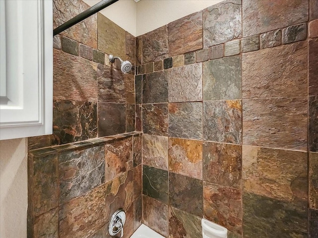 interior details featuring tiled shower