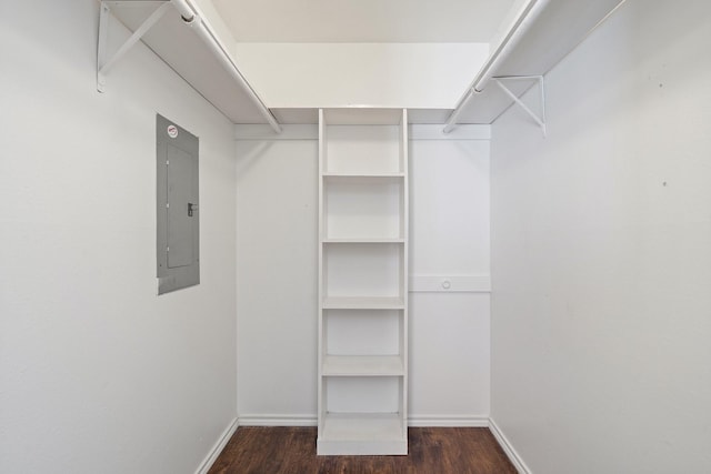 spacious closet featuring electric panel and wood finished floors