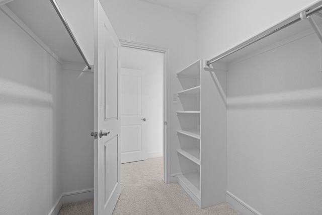 spacious closet featuring carpet