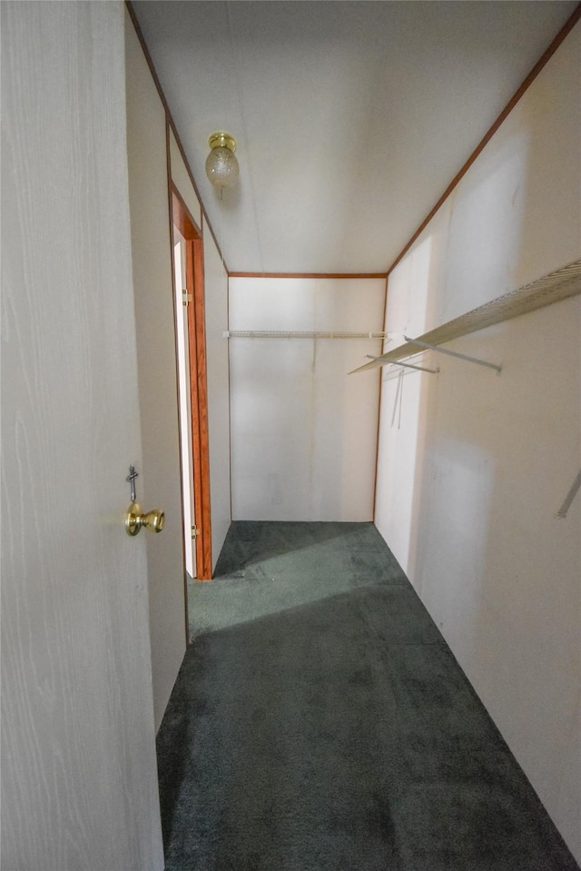 hallway featuring carpet floors