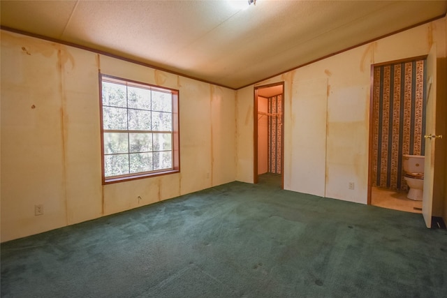 empty room featuring vaulted ceiling, carpet floors, and a textured ceiling