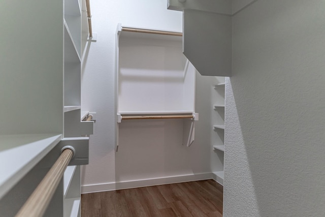 spacious closet featuring dark wood-style flooring