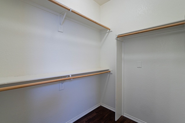 walk in closet featuring dark wood finished floors