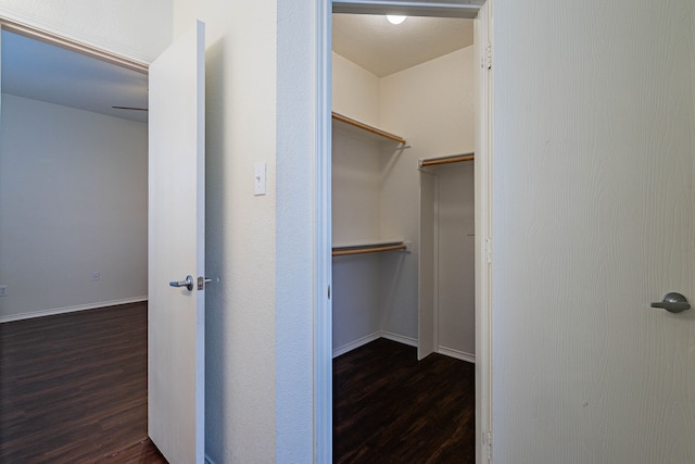 walk in closet with dark wood finished floors