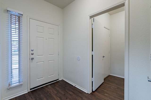 foyer entrance featuring a wealth of natural light, baseboards, and dark wood-type flooring