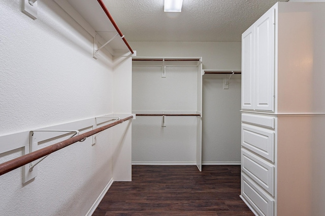 spacious closet with dark wood finished floors