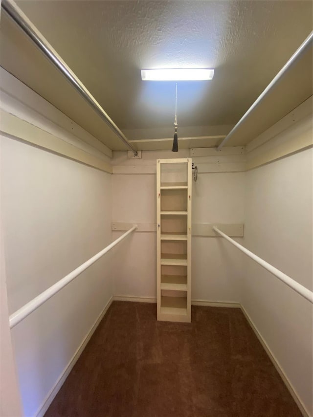 walk in closet featuring carpet floors