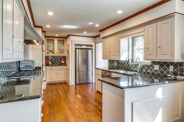 kitchen featuring dark wood-style floors, a peninsula, a sink, ornamental molding, and stainless steel appliances