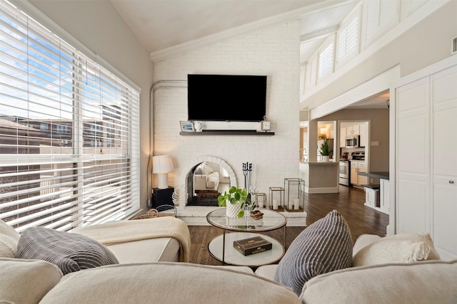 living area with dark wood-type flooring, a fireplace, and a healthy amount of sunlight