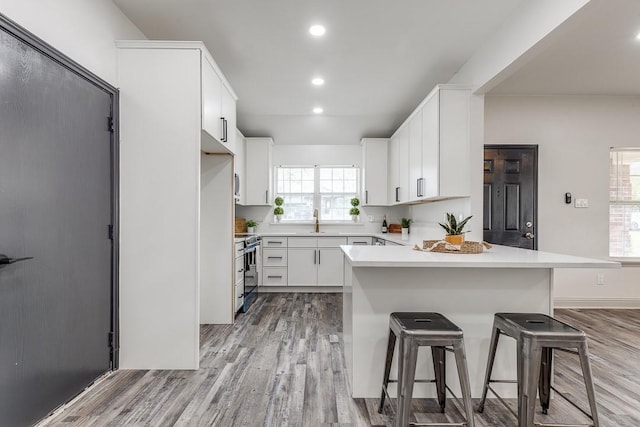559 Helena St, Dallas, TX 75217 - kitchen featuring a sink, a peninsula, light wood-style flooring, light countertops, and stainless steel electric range oven