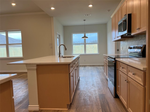 kitchen with a sink, stainless steel appliances, tasteful backsplash, and light countertops