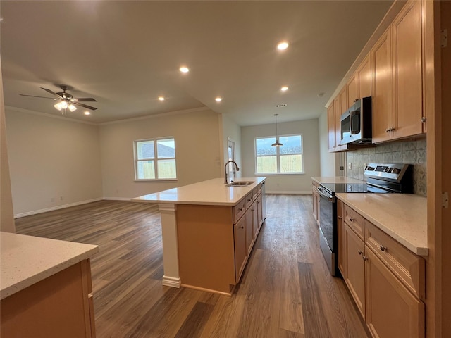 kitchen featuring dark wood-style floors, a kitchen island with sink, a sink, appliances with stainless steel finishes, and tasteful backsplash