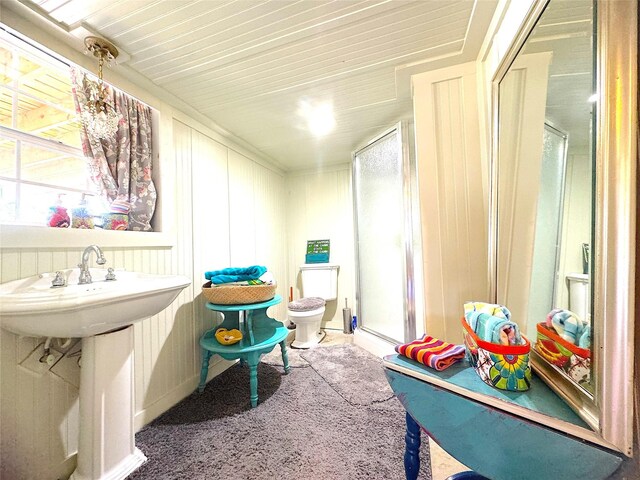 bathroom with a sink, toilet, and a shower stall