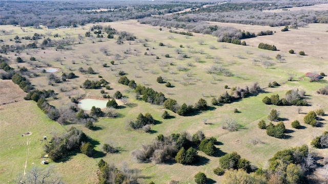 1563A Fm 667, Dawson TX, 76679 land for sale