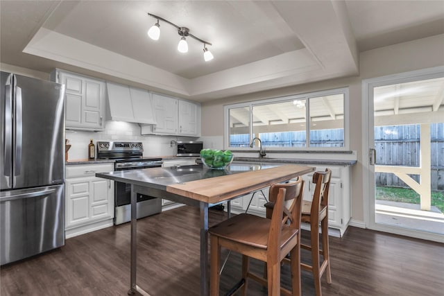 kitchen with custom range hood, tasteful backsplash, dark wood-style floors, stainless steel appliances, and a raised ceiling