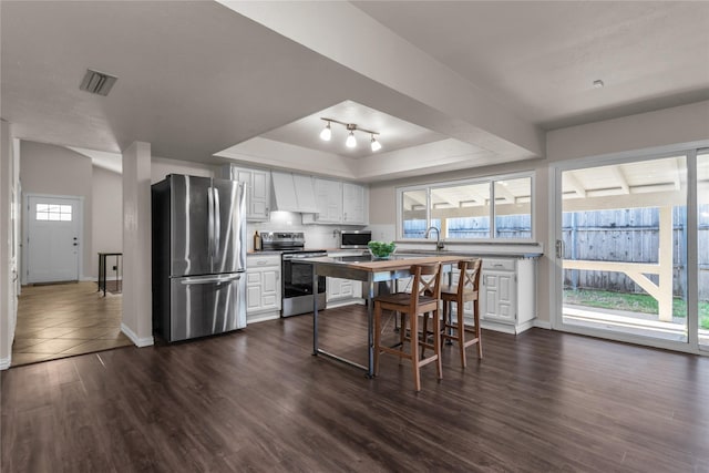 kitchen with visible vents, premium range hood, white cabinets, stainless steel appliances, and a raised ceiling