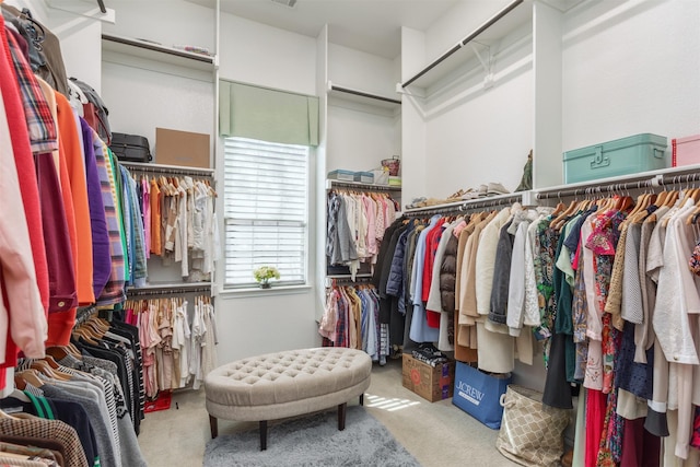 walk in closet featuring carpet flooring