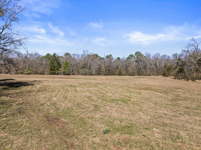 view of yard featuring a view of trees