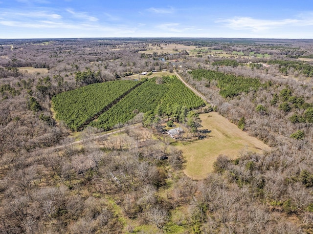 bird's eye view featuring a rural view