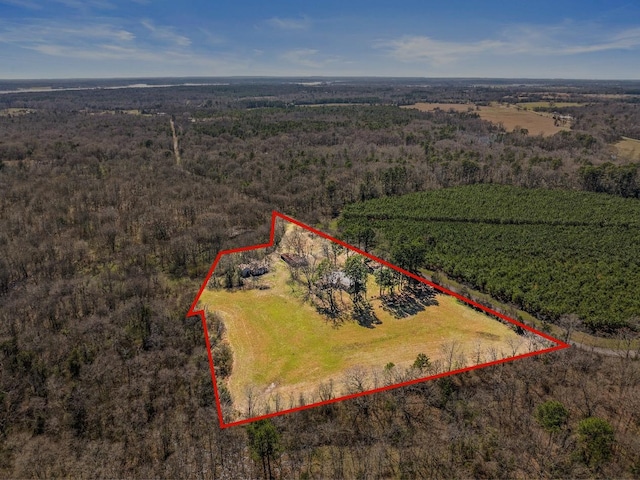 bird's eye view with a rural view and a wooded view