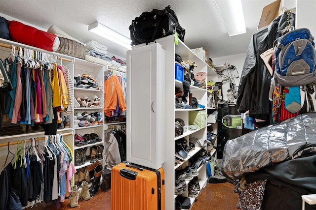 view of spacious closet