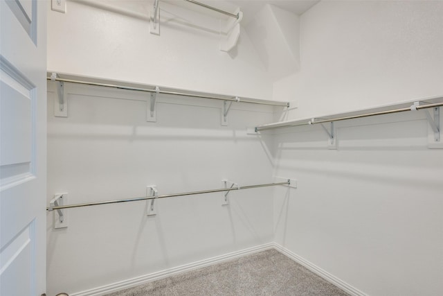 spacious closet featuring carpet