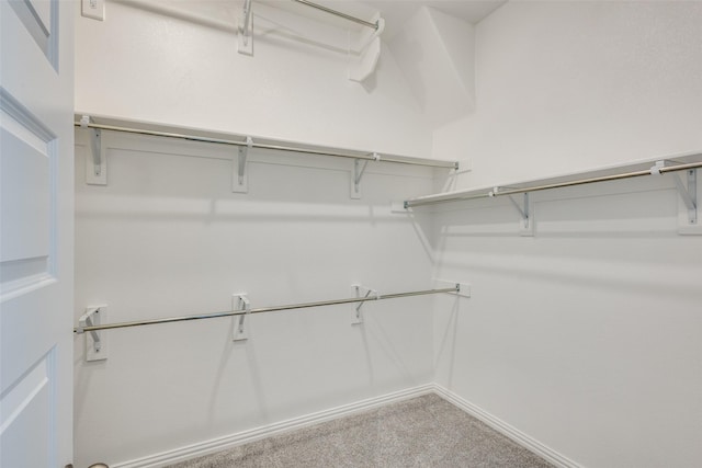 3007 Milton Dr, Melissa, TX 75454 - walk in closet featuring carpet flooring