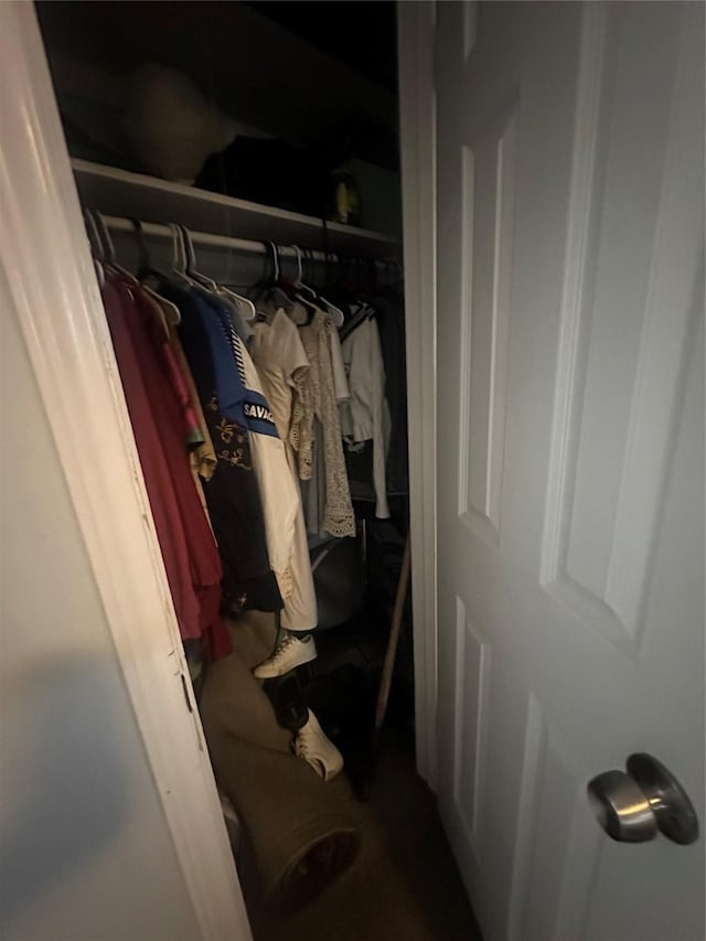 view of closet