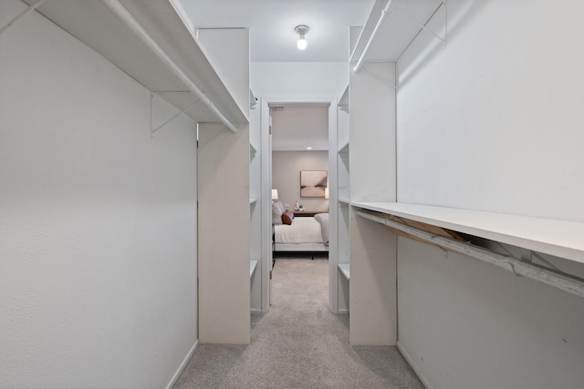 walk in closet with light carpet