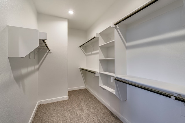 spacious closet featuring light colored carpet