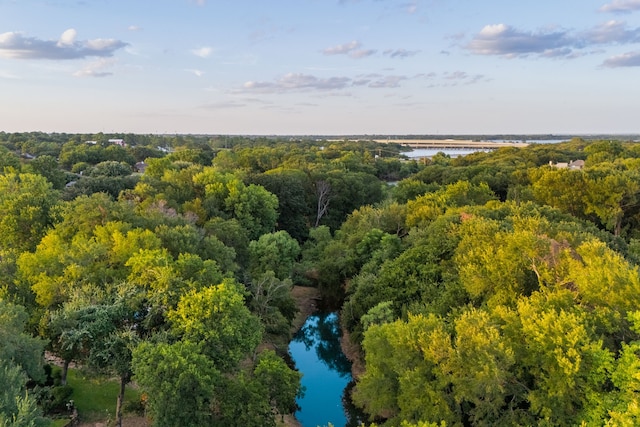 birds eye view of property featuring a water view and a view of trees