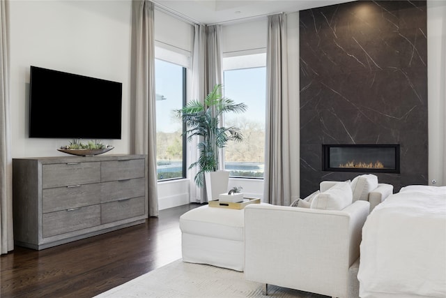 804 Kimball Ct, Allen, TX 75013 - living room featuring dark wood finished floors, plenty of natural light, and a premium fireplace
