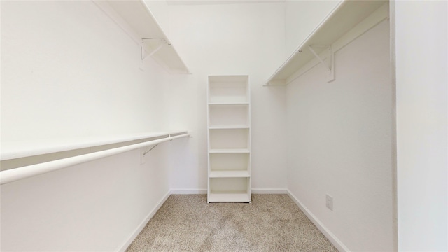 spacious closet featuring light carpet