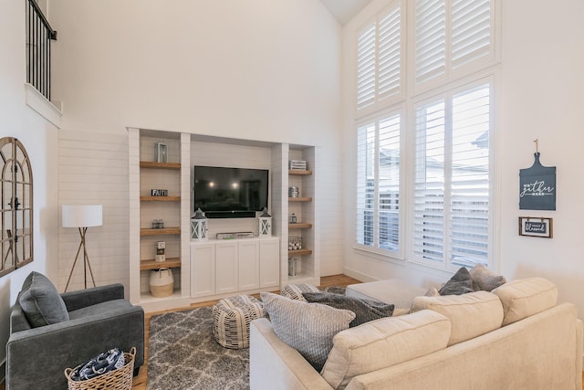 living area featuring a high ceiling and wood finished floors