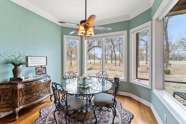 dining area featuring light wood-style flooring, ceiling fan, baseboards, and ornamental molding