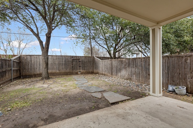 view of yard with a patio and a fenced backyard