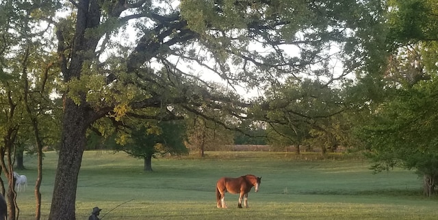 surrounding community with a yard and a rural view