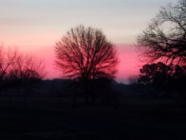 view of nature at dusk