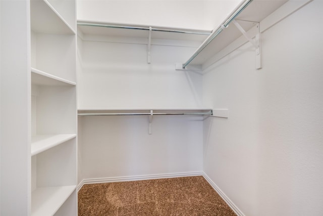 walk in closet featuring carpet