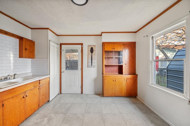 kitchen with a wealth of natural light, crown molding, and a sink