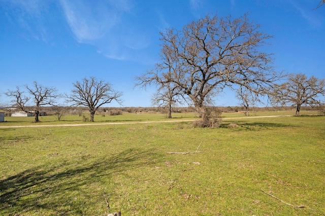 view of yard with a rural view