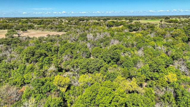 bird's eye view with a forest view