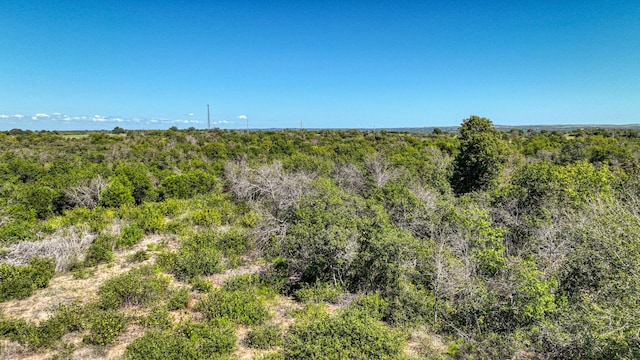 view of nature with a wooded view