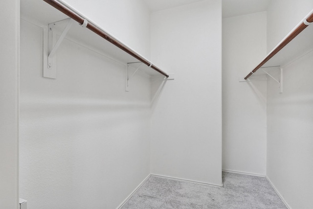 spacious closet featuring attic access and carpet