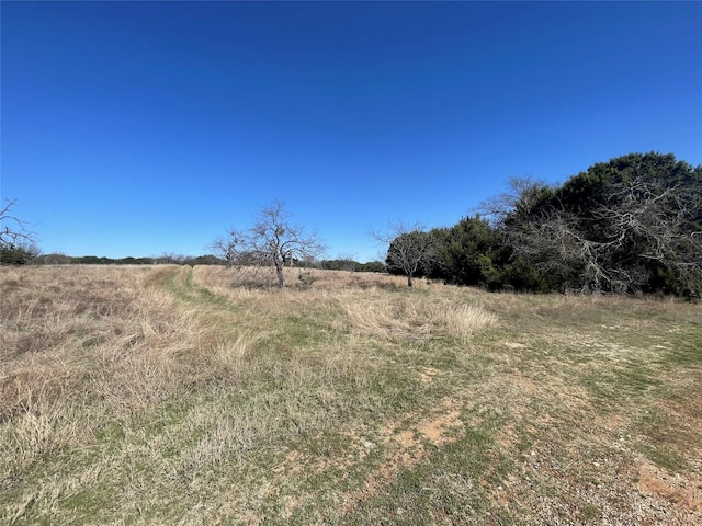 19135 White Bluff Dr, Whitney TX, 76692 land for sale