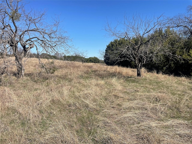 Listing photo 3 for 19135 White Bluff Dr, Whitney TX 76692