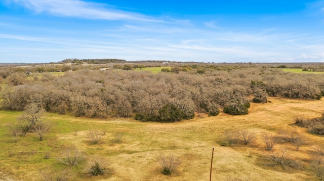 view of nature featuring a rural view